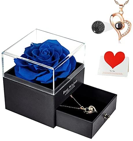 Preserved Rose with I Love You Necklace