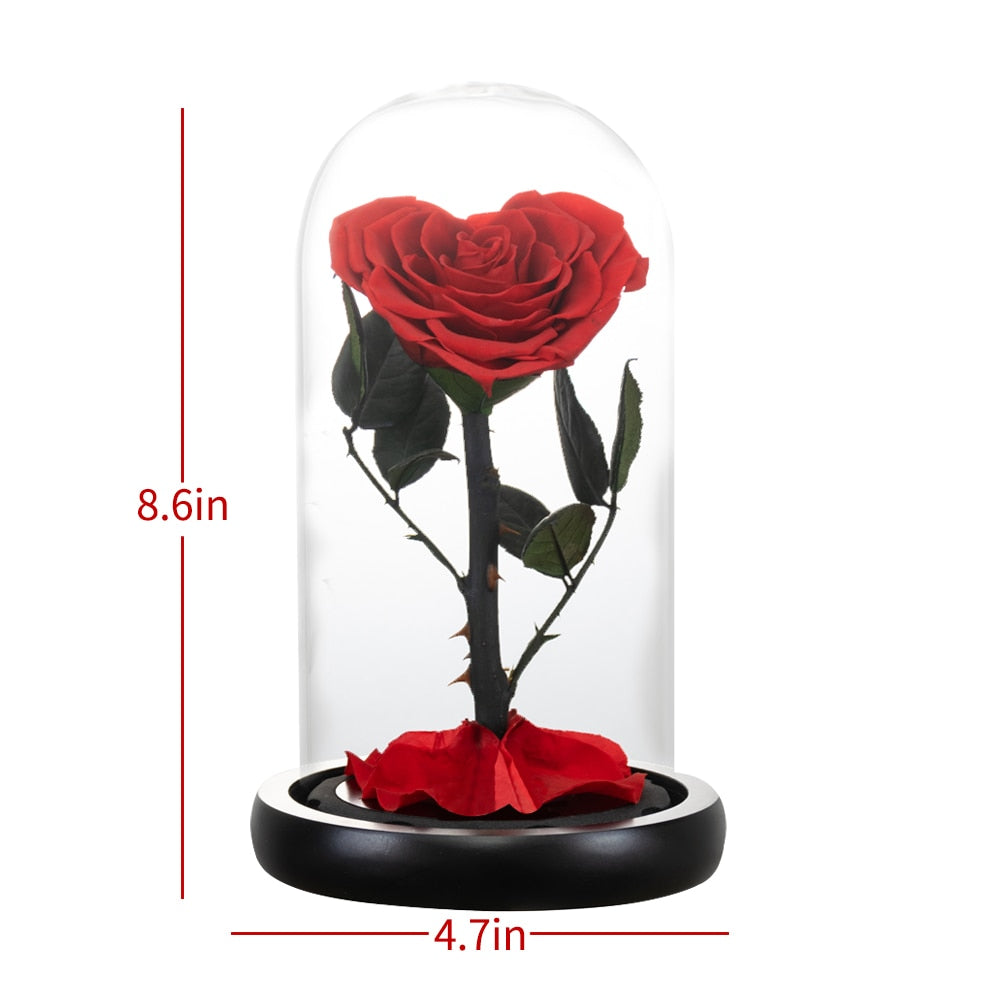 Heart Shaped Preserved Rose Beauty and The Beast Eternal Rose In Glass Dome