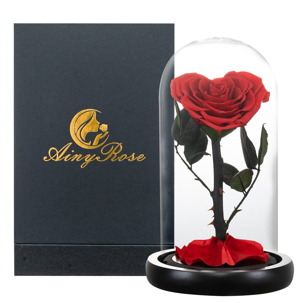 Heart Shaped Preserved Rose Beauty and The Beast Eternal Rose In Glass Dome