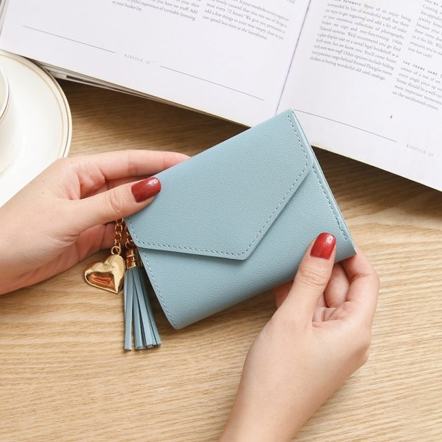 Small Wallets with Multi-card Holders 