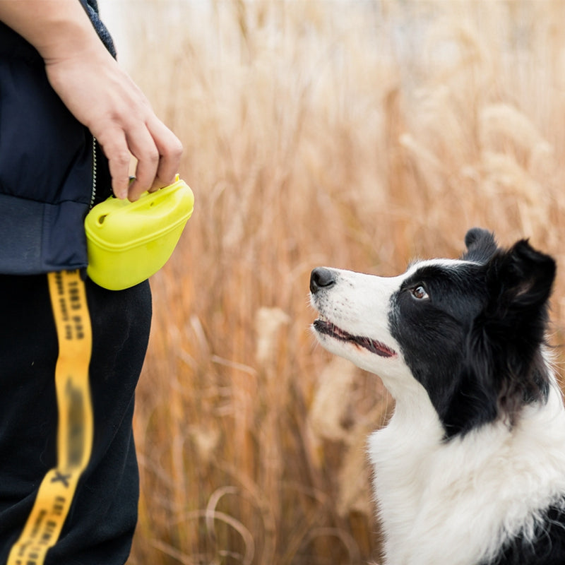 Dog Training Waist Bag Treat Snack