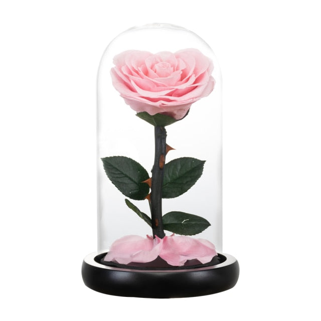 Heart Shaped Preserved Rose Beauty and The Beast Eternal Rose In Glass Dome