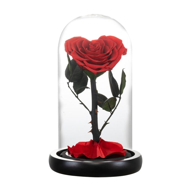 Heart Shaped Preserved Rose Beauty and The Beast Eternal Rose In Glass Dome