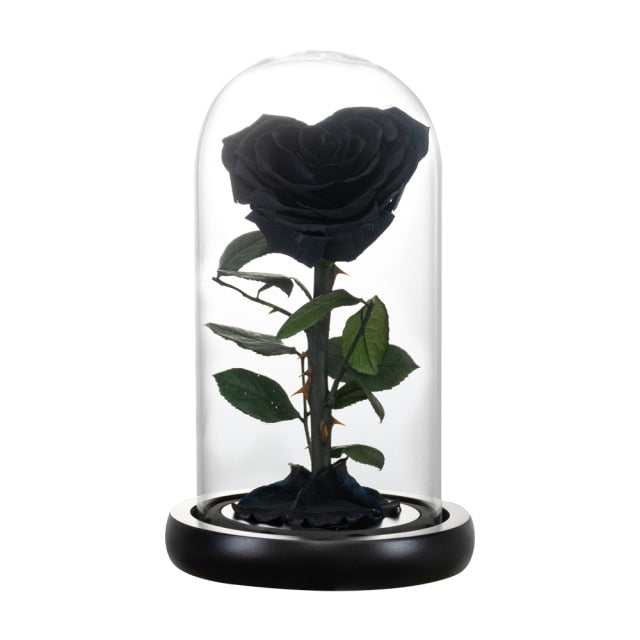 Heart Shaped Preserved Rose Beauty and The Beast Eternal Rose In Glass Dome