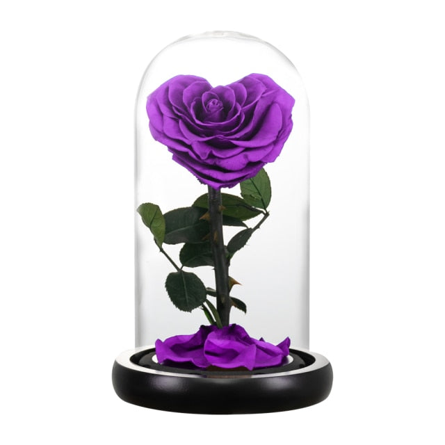 Heart Shaped Preserved Rose Beauty and The Beast Eternal Rose In Glass Dome