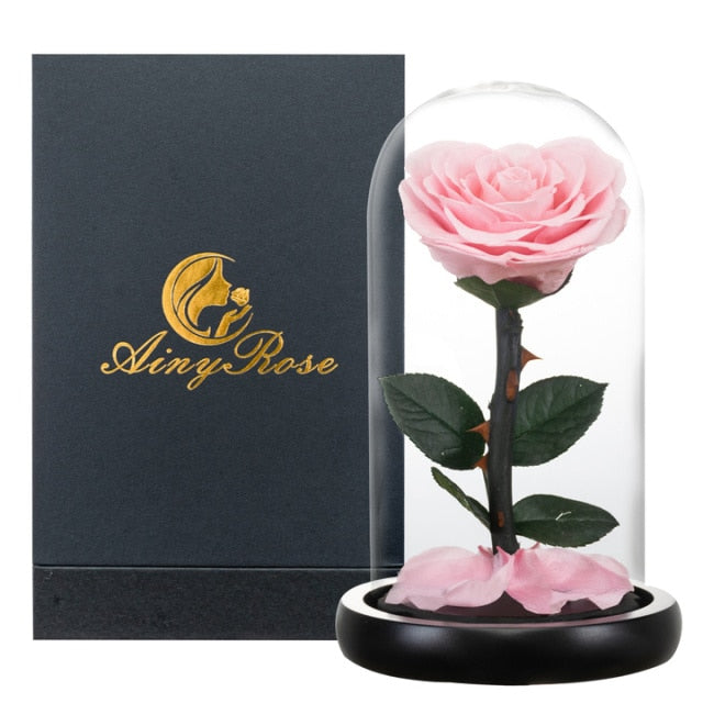 Heart Shaped Preserved Rose Beauty and The Beast Eternal Rose In Glass Dome