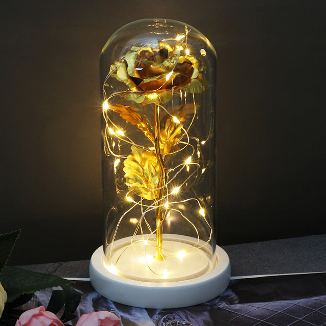 The Beautiful and the Beast Decoration Artificial Flower Eternal Rose Gift