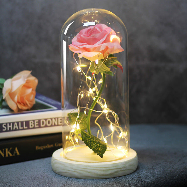 The Beautiful and the Beast Decoration Artificial Flower Eternal Rose Gift