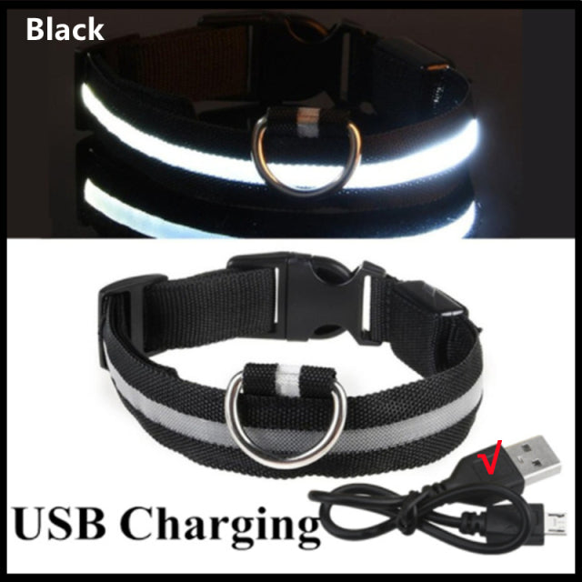 Adjustable LED Glowing Dog Collar